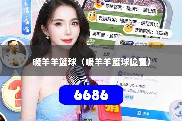 暖羊羊篮球(暖羊羊篮球位置)